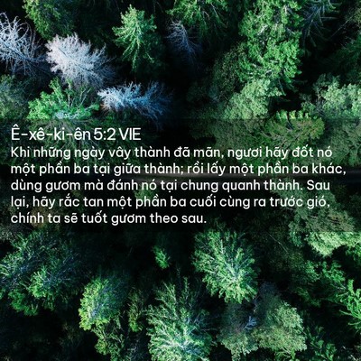 Picture 02 - Ê-xê-ki-ên 5:2 VIE - Khi những ngày vây thành đã mãn, ngươi - Bible Verse Picture