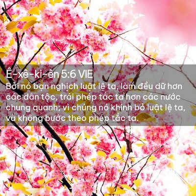 Picture 02 - Ê-xê-ki-ên 5:6 VIE - Bởi nó bạn nghịch luật lệ ta, làm - Bible Verse Picture