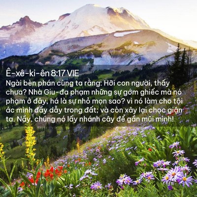 Picture 02 - Ê-xê-ki-ên 8:17 VIE - Ngài bèn phán cùng ta rằng: Hỡi con - Bible Verse Picture