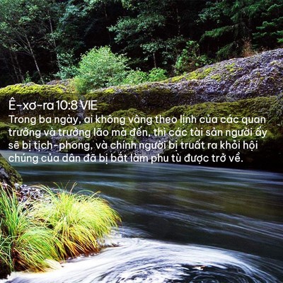 Picture 02 - Ê-xơ-ra 10:8 VIE - Trong ba ngày, ai không vâng theo lịnh của - Bible Verse Picture