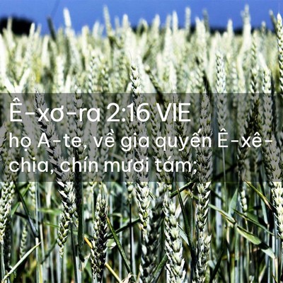 Picture 02 - Ê-xơ-ra 2:16 VIE - họ A-te, về gia quyến Ê-xê-chia, chín - Bible Verse Picture