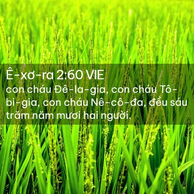 Picture 02 - Ê-xơ-ra 2:60 VIE - con cháu Đê-la-gia, con cháu Tô-bi-gia, con - Bible Verse Picture