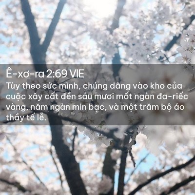 Picture 02 - Ê-xơ-ra 2:69 VIE - Tùy theo sức mình, chúng dâng vào kho - Bible Verse Picture