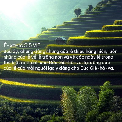 Picture 02 - Ê-xơ-ra 3:5 VIE - Sau ấy, chúng dâng những của lễ thiêu - Bible Verse Picture