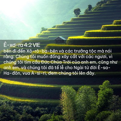 Picture 02 - Ê-xơ-ra 4:2 VIE - bèn đi đến Xô-rô-ba-bên và các - Bible Verse Picture