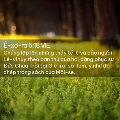 Picture 02 - Ê-xơ-ra 6:18 VIE - Chúng lập lên những thầy tế lễ và - Bible Verse Picture