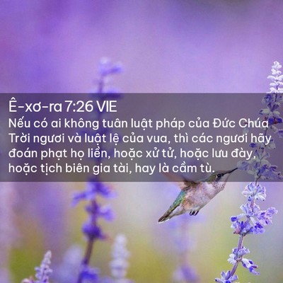 Picture 02 - Ê-xơ-ra 7:26 VIE - Nếu có ai không tuân luật pháp của - Bible Verse Picture