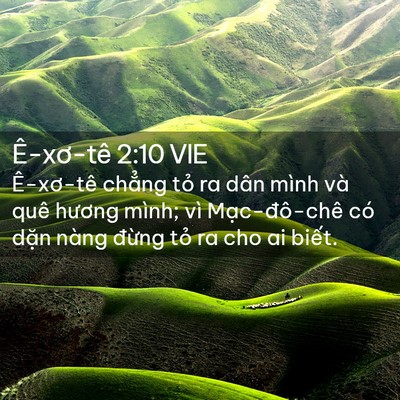 Picture 02 - Ê-xơ-tê 2:10 VIE - Ê-xơ-tê chẳng tỏ ra dân mình và quê - Bible Verse Picture