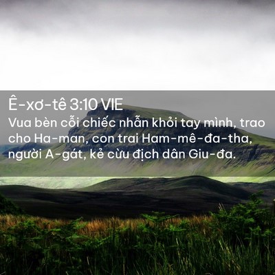 Picture 02 - Ê-xơ-tê 3:10 VIE - Vua bèn cỗi chiếc nhẫn khỏi tay mình, - Bible Verse Picture
