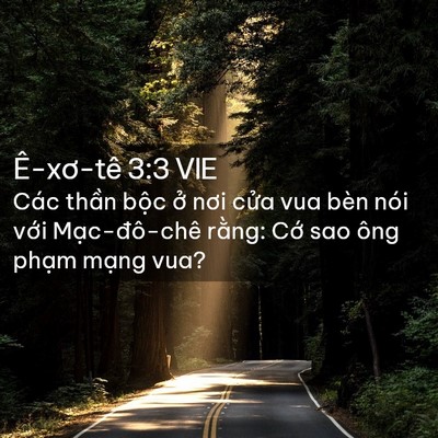 Picture 02 - Ê-xơ-tê 3:3 VIE - Các thần bộc ở nơi cửa vua bèn nói - Bible Verse Picture