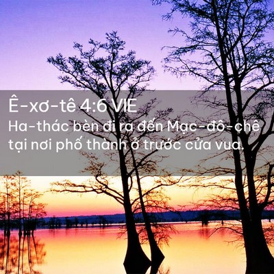 Picture 02 - Ê-xơ-tê 4:6 VIE - Ha-thác bèn đi ra đến Mạc-đô-chê tại - Bible Verse Picture