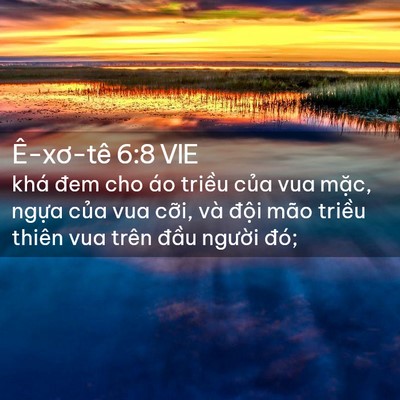 Picture 02 - Ê-xơ-tê 6:8 VIE - khá đem cho áo triều của vua mặc, ngựa - Bible Verse Picture