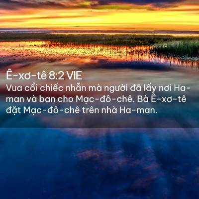 Picture 02 - Ê-xơ-tê 8:2 VIE - Vua cổi chiếc nhẫn mà người đã lấy - Bible Verse Picture
