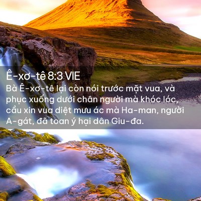 Picture 02 - Ê-xơ-tê 8:3 VIE - Bà Ê-xơ-tê lại còn nói trước mặt - Bible Verse Picture