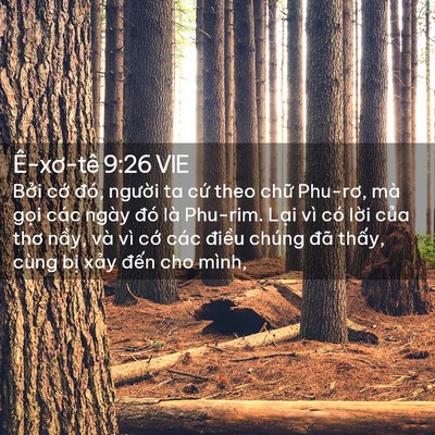Picture 02 - Ê-xơ-tê 9:26 VIE - Bởi cớ đó, người ta cứ theo chữ - Bible Verse Picture