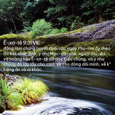 Picture 02 - Ê-xơ-tê 9:31 VIE - đặng làm chứng quyết định các ngày - Bible Verse Picture