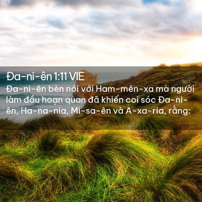 Picture 02 - Ða-ni-ên 1:11 VIE - Đa-ni-ên bèn nói với Ham-mên-xa mà - Bible Verse Picture