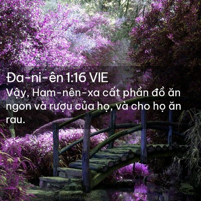 Picture 02 - Ða-ni-ên 1:16 VIE - Vậy, Ham-nên-xa cất phần đồ ăn ngon - Bible Verse Picture