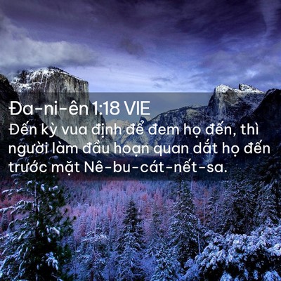 Picture 02 - Ða-ni-ên 1:18 VIE - Đến kỳ vua định để đem họ đến, - Bible Verse Picture