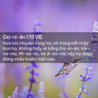 Picture 02 - Ða-ni-ên 1:19 VIE - Vua nói chuyện cùng họ; và trong hết - Bible Verse Picture