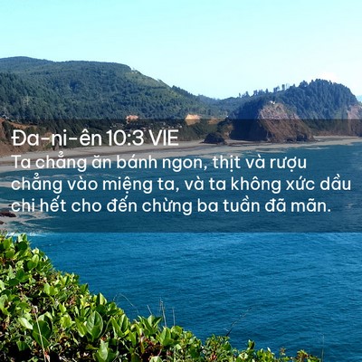 Picture 02 - Ða-ni-ên 10:3 VIE - Ta chẳng ăn bánh ngon, thịt và rượu - Bible Verse Picture
