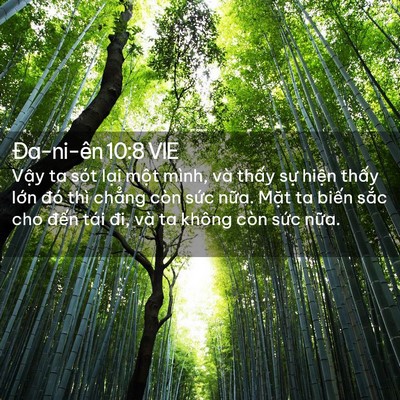 Picture 02 - Ða-ni-ên 10:8 VIE - Vậy ta sót lại một mình, và thấy sự - Bible Verse Picture