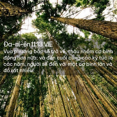 Picture 02 - Ða-ni-ên 11:13 VIE - Vua phương bắc sẽ trở về, thâu nhóm - Bible Verse Picture