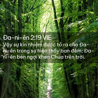 Picture 02 - Ða-ni-ên 2:19 VIE - Vậy sự kín nhiệm được tỏ ra cho - Bible Verse Picture