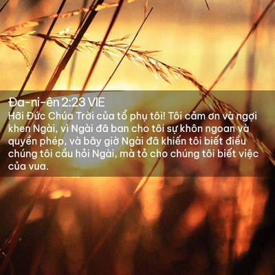 Picture 02 - Ða-ni-ên 2:23 VIE - Hỡi Đức Chúa Trời của tổ phụ tôi! - Bible Verse Picture