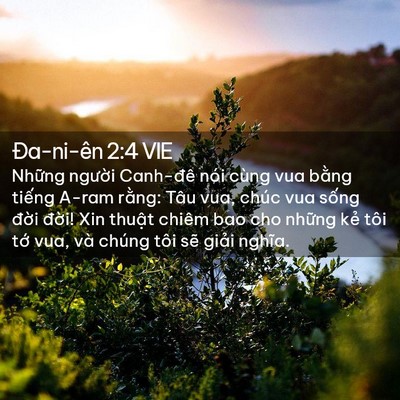 Picture 02 - Ða-ni-ên 2:4 VIE - Những người Canh-đê nói cùng vua bằng - Bible Verse Picture