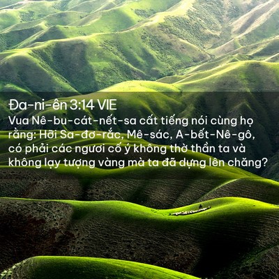 Picture 02 - Ða-ni-ên 3:14 VIE - Vua Nê-bu-cát-nết-sa cất tiếng nói cùng - Bible Verse Picture