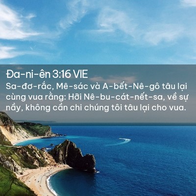 Picture 02 - Ða-ni-ên 3:16 VIE - Sa-đơ-rắc, Mê-sác và A-bết-Nê-gô tâu - Bible Verse Picture