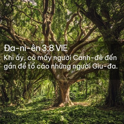 Picture 02 - Ða-ni-ên 3:8 VIE - Khi ấy, có mấy người Canh-đê đến - Bible Verse Picture
