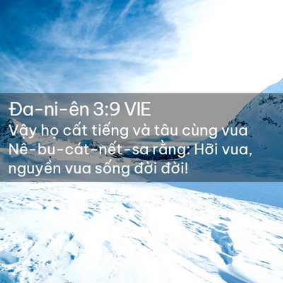 Picture 02 - Ða-ni-ên 3:9 VIE - Vậy họ cất tiếng và tâu cùng vua - Bible Verse Picture