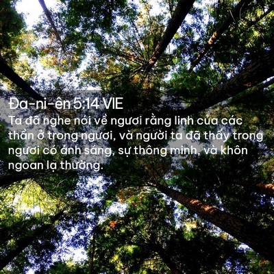 Picture 02 - Ða-ni-ên 5:14 VIE - Ta đã nghe nói về ngươi rằng linh của - Bible Verse Picture