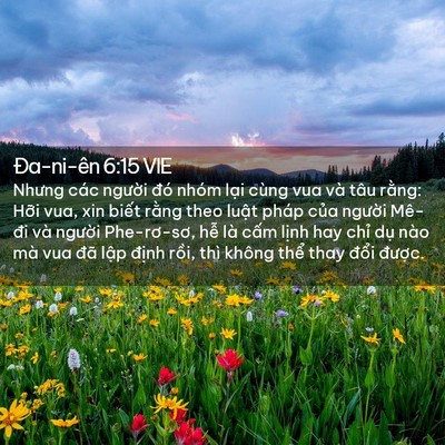 Picture 02 - Ða-ni-ên 6:15 VIE - Nhưng các người đó nhóm lại cùng vua - Bible Verse Picture