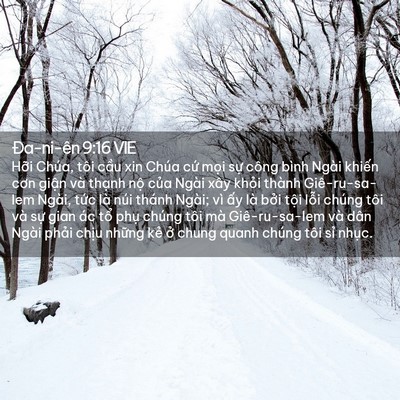 Picture 02 - Ða-ni-ên 9:16 VIE - Hỡi Chúa, tôi cầu xin Chúa cứ mọi sự - Bible Verse Picture