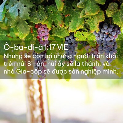 Picture 02 - Ô-ba-đi-a 1:17 VIE - Nhưng sẽ còn lại những người trốn - Bible Verse Picture