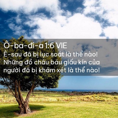 Picture 02 - Ô-ba-đi-a 1:6 VIE - Ê-sau đã bị lục soát là thể nào! - Bible Verse Picture