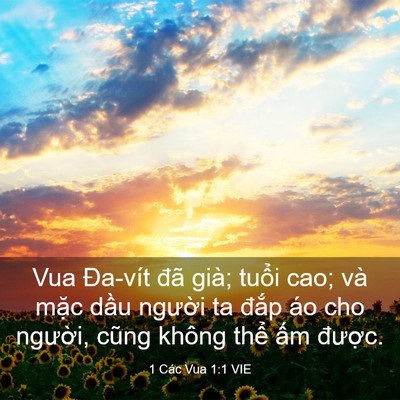 Picture 03 - 1 Các Vua 1:1 VIE - Vua Đa-vít đã già; tuổi cao; và mặc - Bible Verse Picture