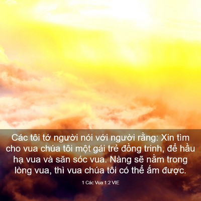Picture 03 - 1 Các Vua 1:2 VIE - Các tôi tớ người nói với người - Bible Verse Picture
