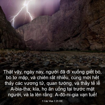 Picture 03 - 1 Các Vua 1:25 VIE - Thật vậy, ngày nay, người đã đi - Bible Verse Picture