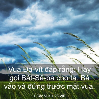 Picture 03 - 1 Các Vua 1:28 VIE - Vua Đa-vít đáp rằng: Hãy gọi Bát-Sê-ba - Bible Verse Picture