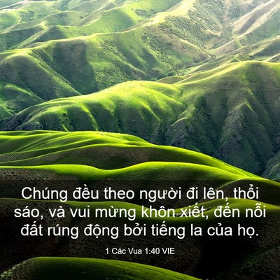 Picture 03 - 1 Các Vua 1:40 VIE - Chúng đều theo người đi lên, thổi - Bible Verse Picture