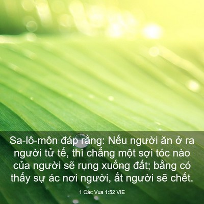 Picture 03 - 1 Các Vua 1:52 VIE - Sa-lô-môn đáp rằng: Nếu người ăn ở - Bible Verse Picture