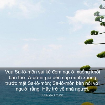 Picture 03 - 1 Các Vua 1:53 VIE - Vua Sa-lô-môn sai kẻ đem người xuống - Bible Verse Picture