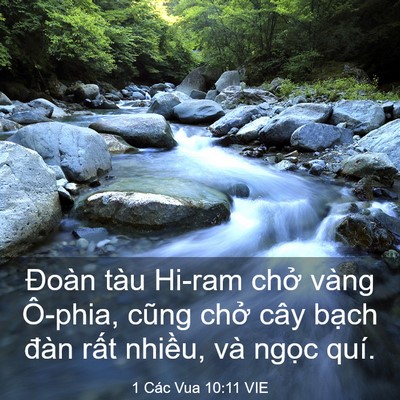 Picture 03 - 1 Các Vua 10:11 VIE - Đoàn tàu Hi-ram chở vàng Ô-phia, cũng - Bible Verse Picture
