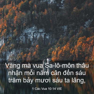 Picture 03 - 1 Các Vua 10:14 VIE - Vàng mà vua Sa-lô-môn thâu nhận mỗi năm - Bible Verse Picture