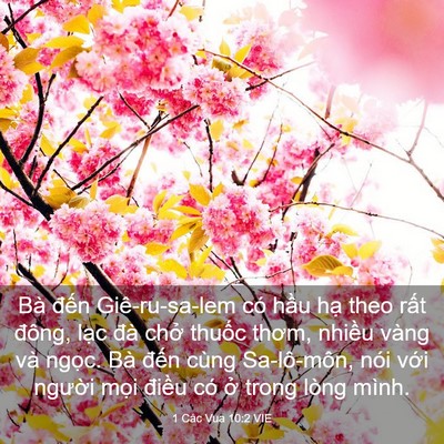 Picture 03 - 1 Các Vua 10:2 VIE - Bà đến Giê-ru-sa-lem có hầu hạ theo - Bible Verse Picture