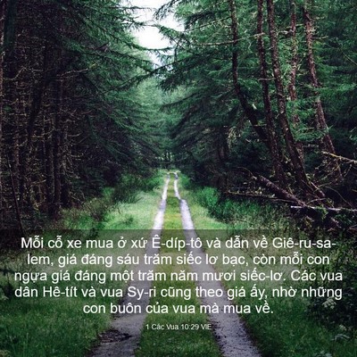 Picture 03 - 1 Các Vua 10:29 VIE - Mỗi cỗ xe mua ở xứ Ê-díp-tô và dẫn - Bible Verse Picture